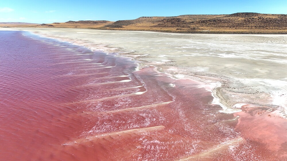 Great Salt Lake Pink